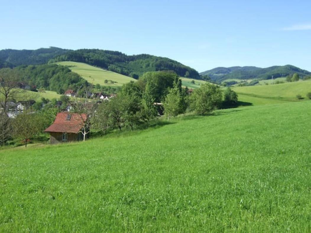 Sonniges-Naturnahes-Schwarzwald-Ferienhaeuschen Welschensteinach Exterior photo